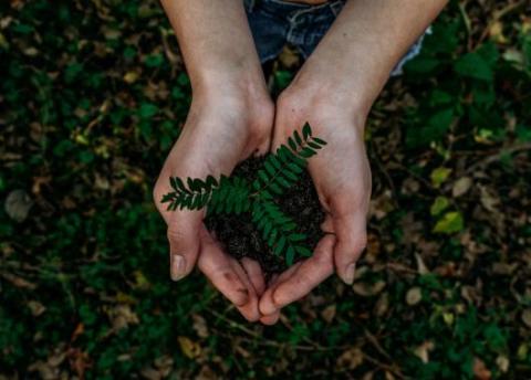 Économie durable : les fonctions de cadres passent au vert