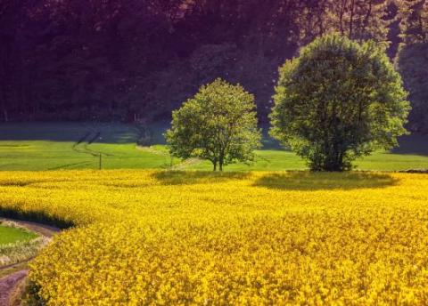 Enseignement agricole : une rentrée sous le signe des réformes