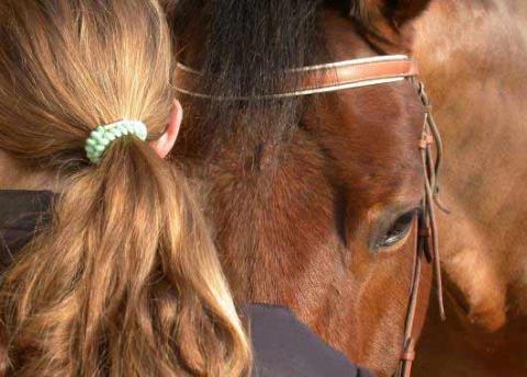 Je suis spécialiste de la thérapie avec le cheval