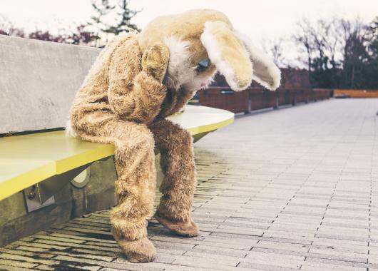 gratisography-sad-bunny-free-stock-photo.jpg